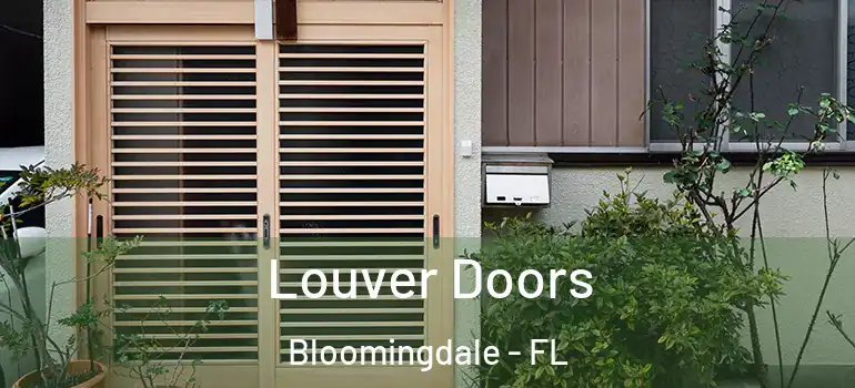  Louver Doors Bloomingdale - FL