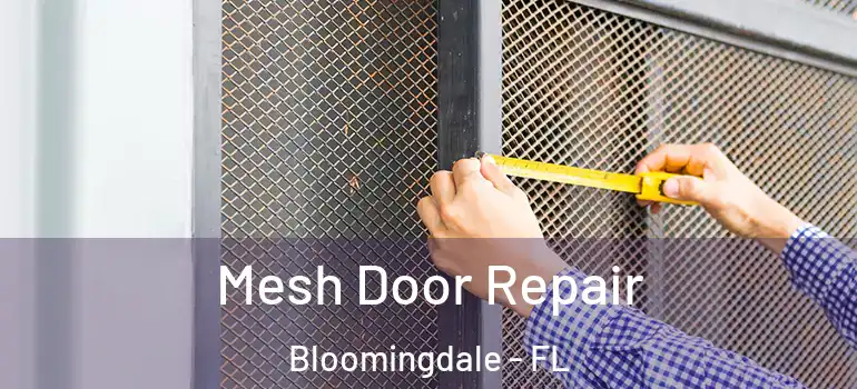  Mesh Door Repair Bloomingdale - FL