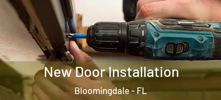  New Door Installation Bloomingdale - FL