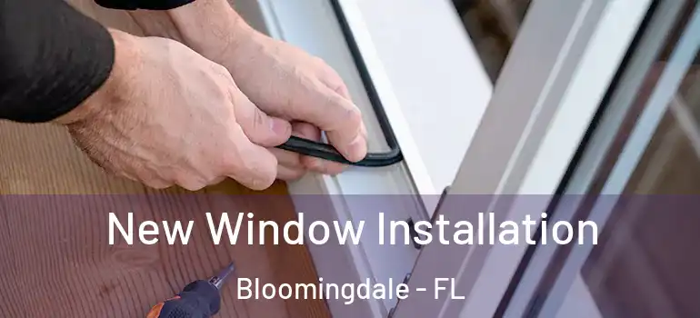  New Window Installation Bloomingdale - FL