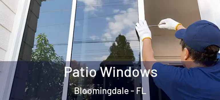  Patio Windows Bloomingdale - FL