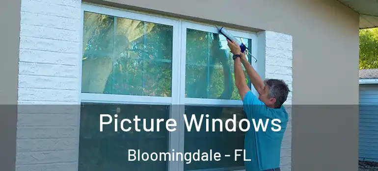  Picture Windows Bloomingdale - FL