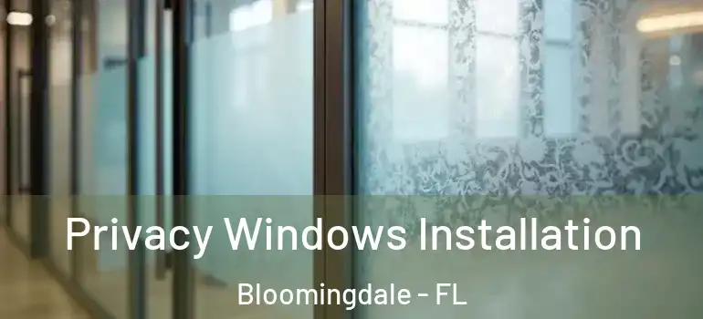  Privacy Windows Installation Bloomingdale - FL