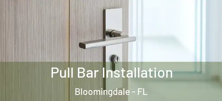  Pull Bar Installation Bloomingdale - FL