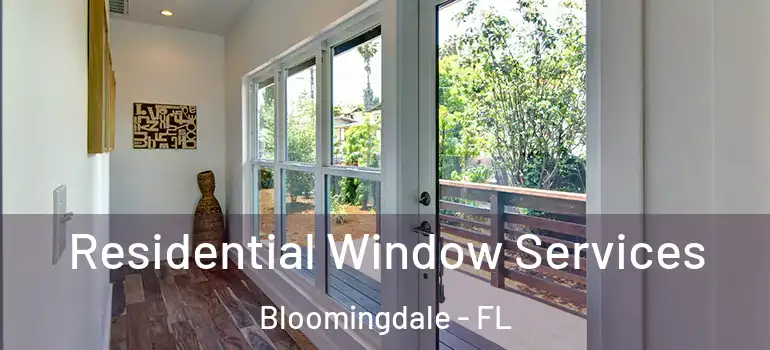  Residential Window Services Bloomingdale - FL