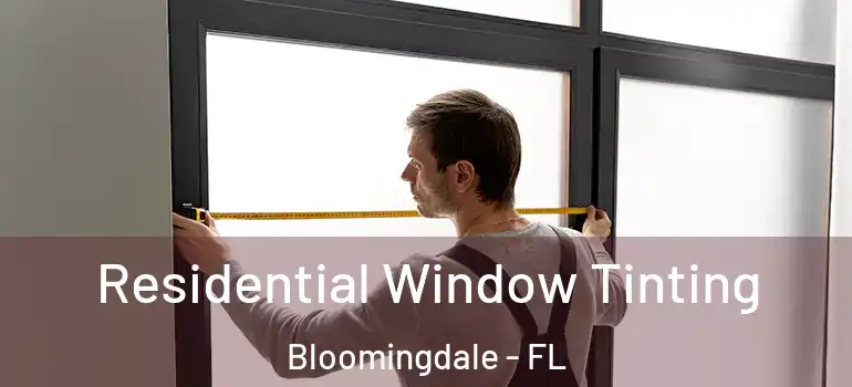  Residential Window Tinting Bloomingdale - FL