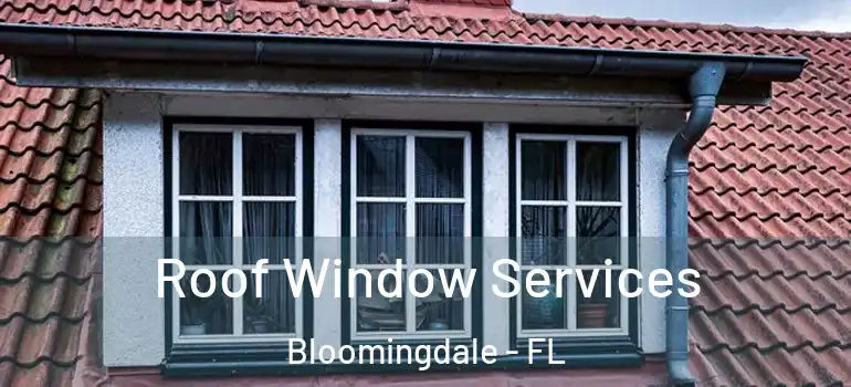  Roof Window Services Bloomingdale - FL