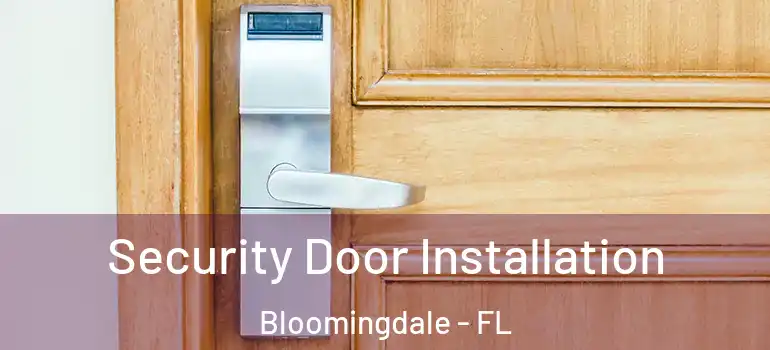  Security Door Installation Bloomingdale - FL