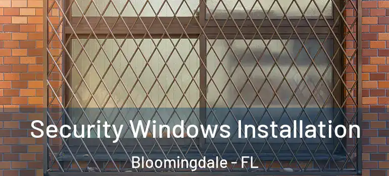  Security Windows Installation Bloomingdale - FL