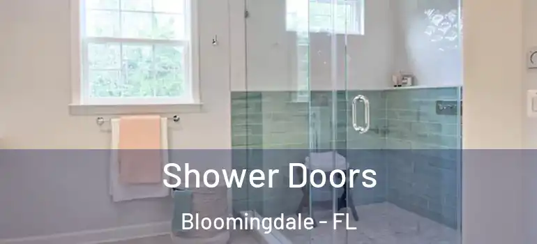  Shower Doors Bloomingdale - FL