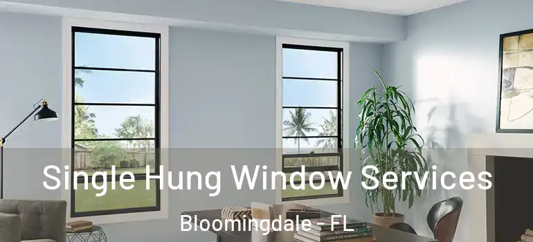  Single Hung Window Services Bloomingdale - FL