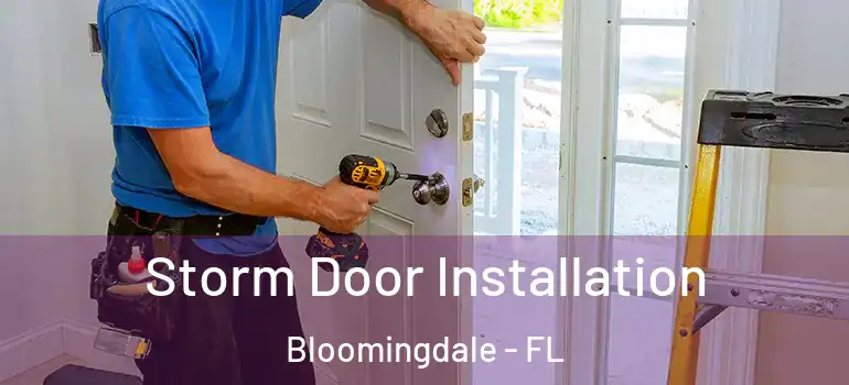  Storm Door Installation Bloomingdale - FL