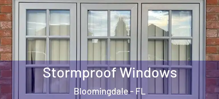  Stormproof Windows Bloomingdale - FL