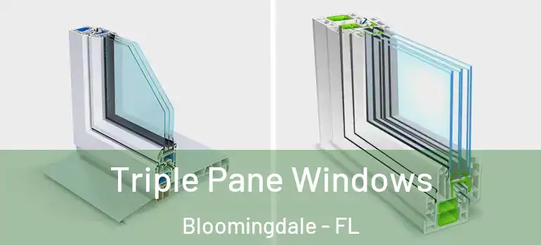  Triple Pane Windows Bloomingdale - FL