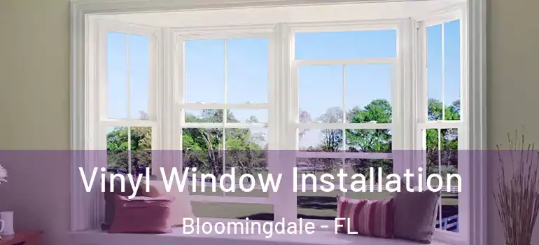  Vinyl Window Installation Bloomingdale - FL