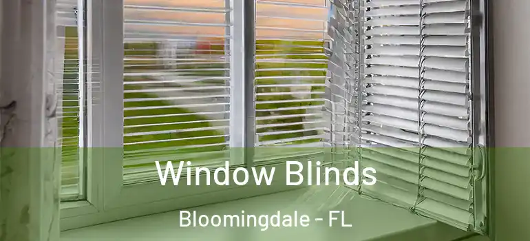  Window Blinds Bloomingdale - FL