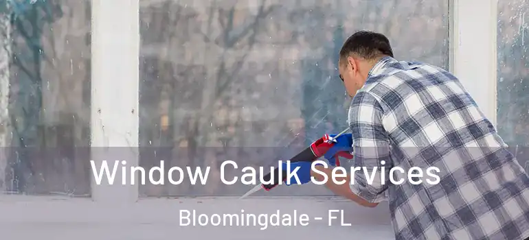  Window Caulk Services Bloomingdale - FL