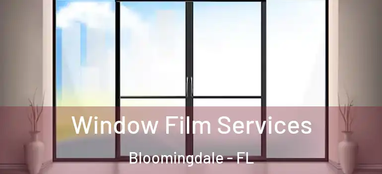  Window Film Services Bloomingdale - FL