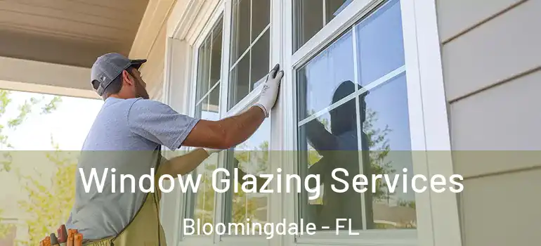  Window Glazing Services Bloomingdale - FL
