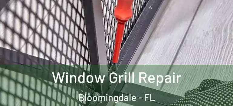  Window Grill Repair Bloomingdale - FL