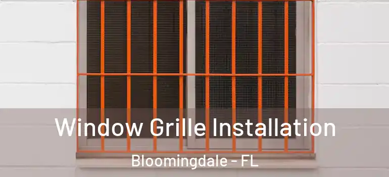  Window Grille Installation Bloomingdale - FL