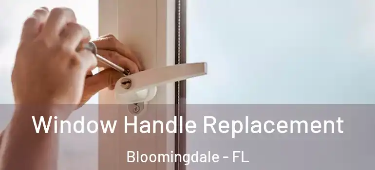 Window Handle Replacement Bloomingdale - FL