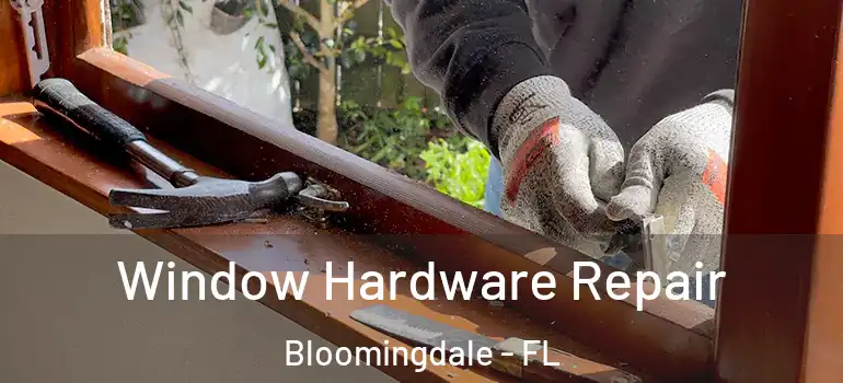  Window Hardware Repair Bloomingdale - FL