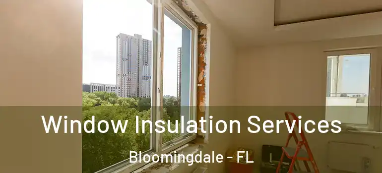  Window Insulation Services Bloomingdale - FL