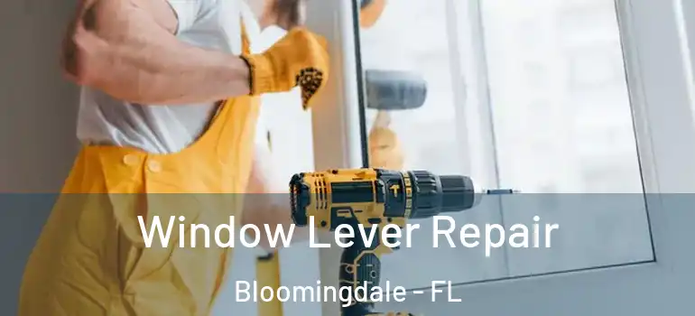  Window Lever Repair Bloomingdale - FL