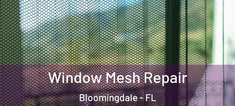  Window Mesh Repair Bloomingdale - FL
