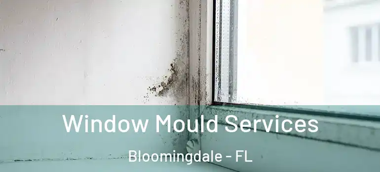  Window Mould Services Bloomingdale - FL