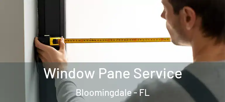  Window Pane Service Bloomingdale - FL