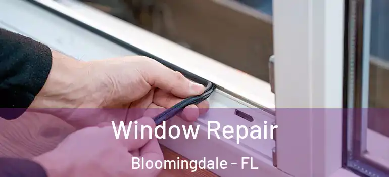  Window Repair Bloomingdale - FL