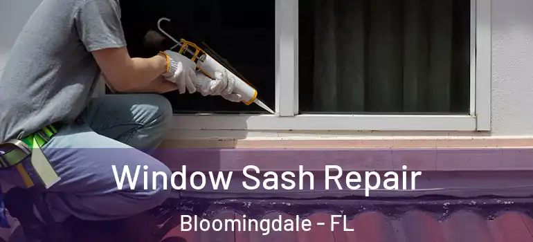  Window Sash Repair Bloomingdale - FL