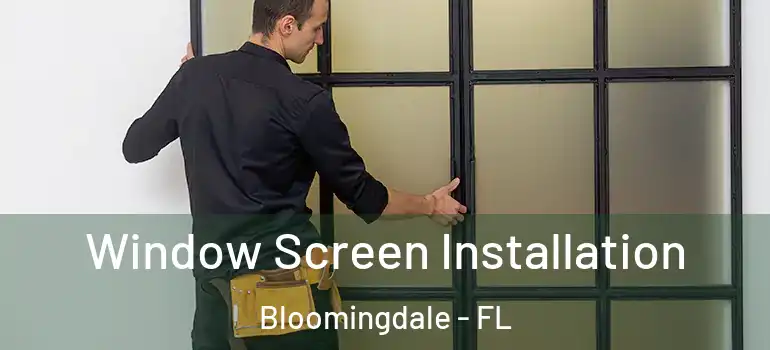  Window Screen Installation Bloomingdale - FL