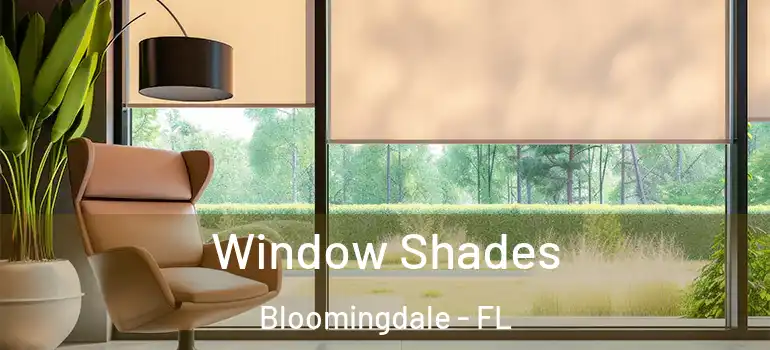  Window Shades Bloomingdale - FL