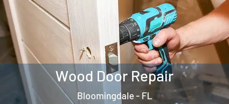  Wood Door Repair Bloomingdale - FL